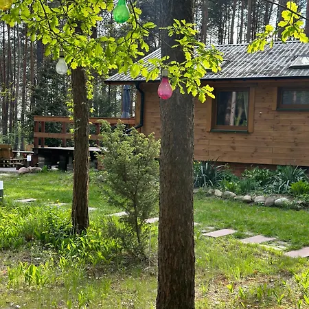 Urocza Chatka W Lesie Nad Woda Skubianka Exterior foto