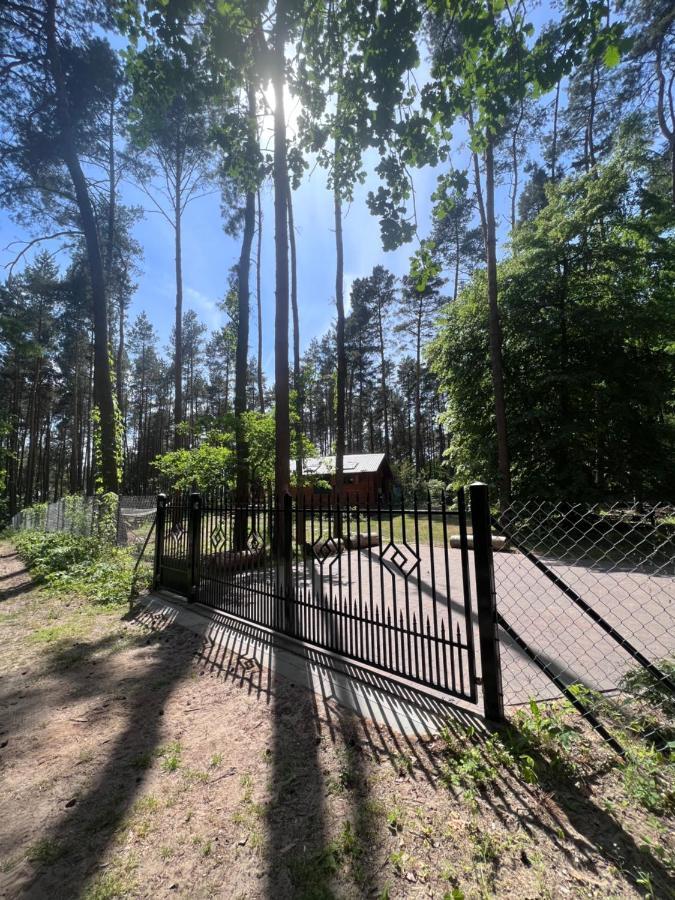 Urocza W Lesie Nad Woda
