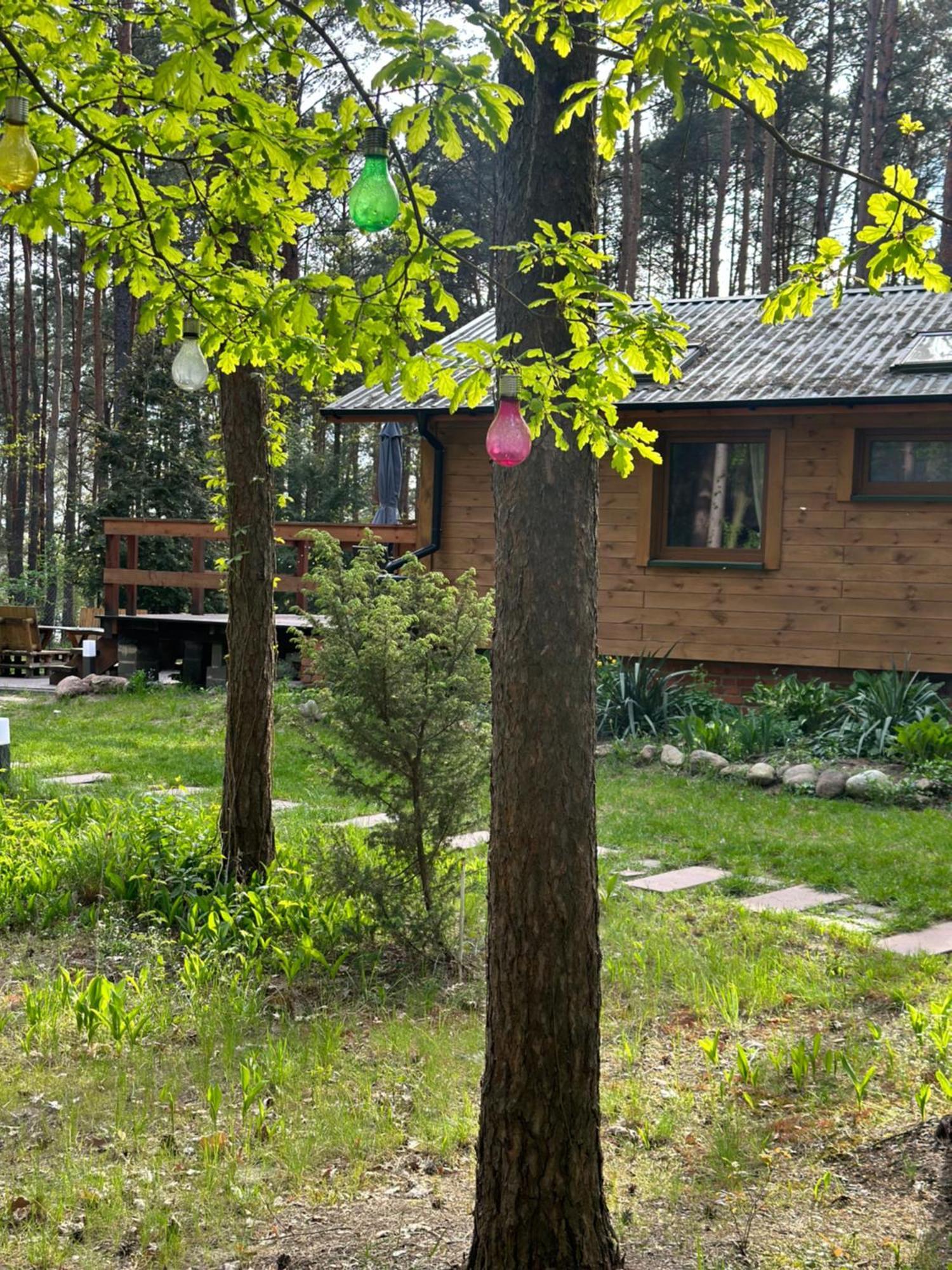Urocza W Lesie Nad Woda Skubianka