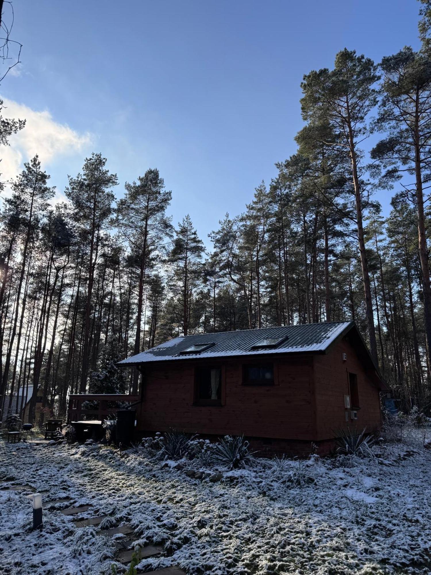 Urocza W Lesie Nad Woda Skubianka
